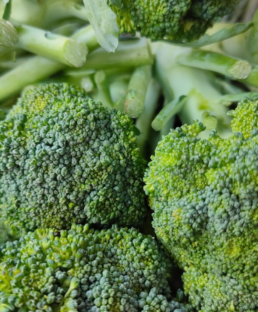 Maine broccoli producer voices concerns for state crop following pesticide sanctions