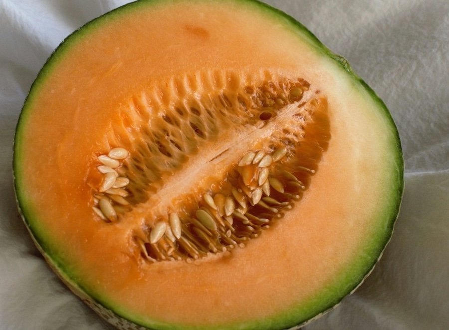 Arizona grower acquires melon distribution arm of global producer