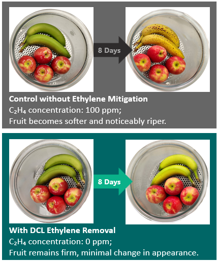 New catalytic system targets ethylene gas buildup to slow ripening