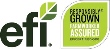 EFI expanding certification offerings to allow customized auditing