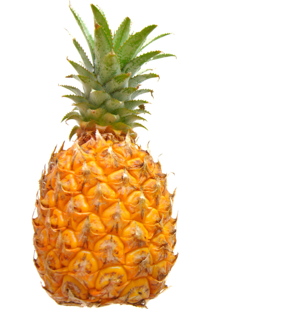 Partnership to explore creating biofertilizers from pineapple residue