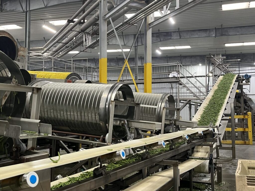 Sorting solutions: Equipment advances fuel growth of canning operation