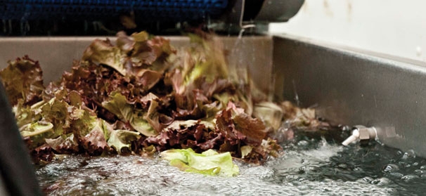 USDA value-added producer grants help seed new ventures