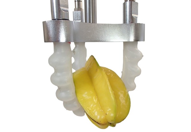 Elastomer technology can handle sensitive foods