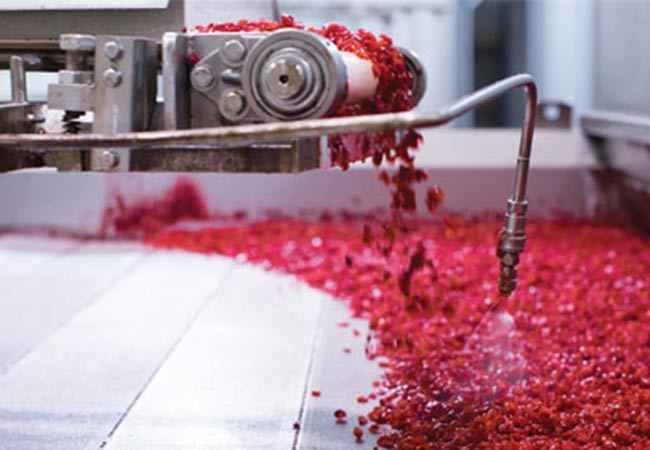 Just Remove Water: New ways to achieve an old objective drive success of dried produce