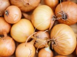 USDA looks for processors for re-established advisory committee