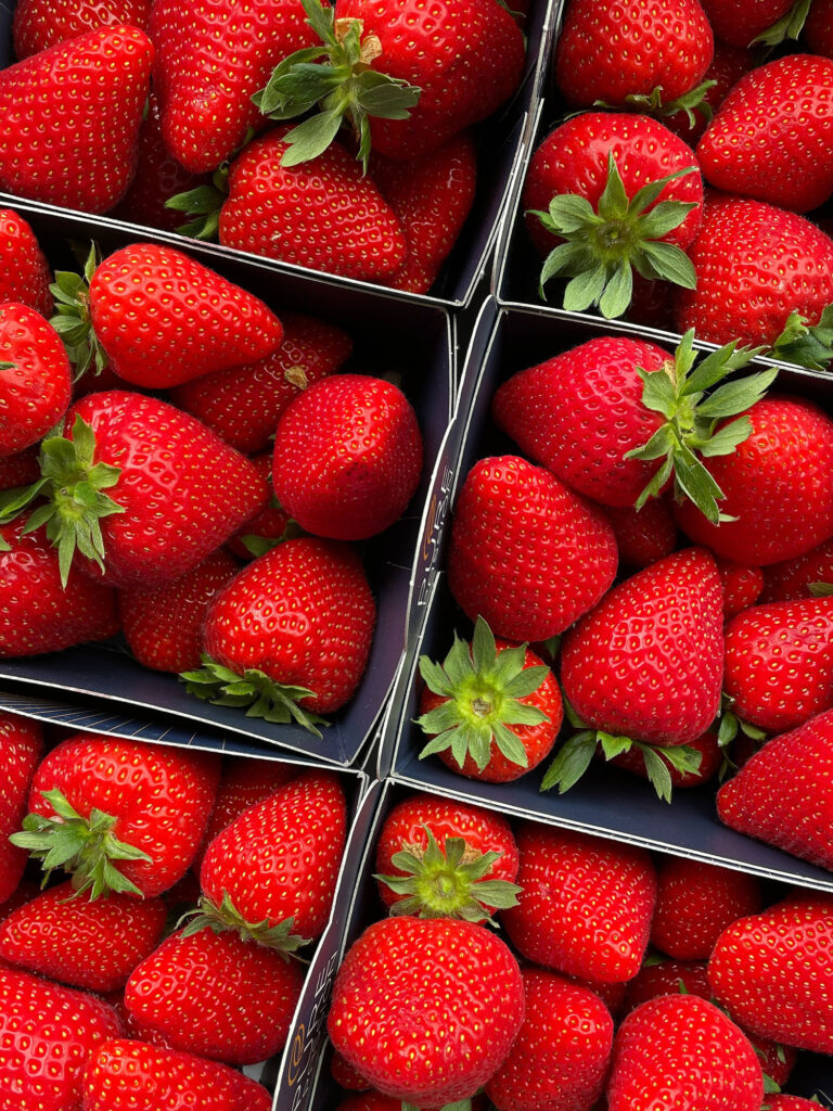 Processors seek ‘greener’ produce packaging