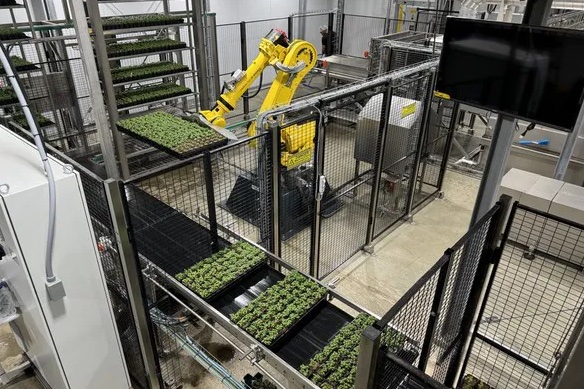 New 140,000-square-foot facility to grow organic greens, herbs