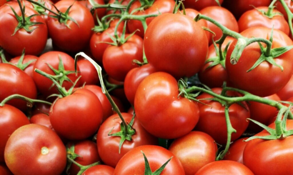 Mexican tomato tariff draws mixed reaction from US growers