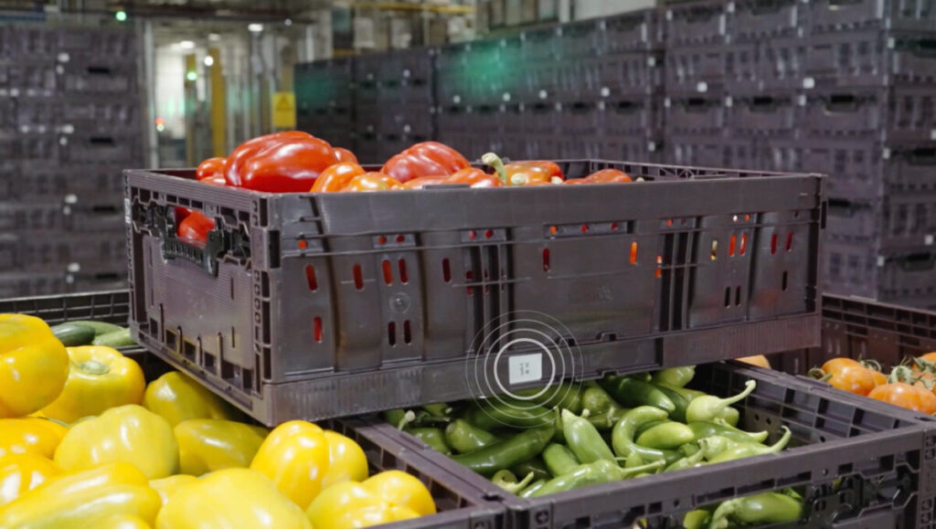 New Wiliot chatbot allows companies to ‘talk’ to products