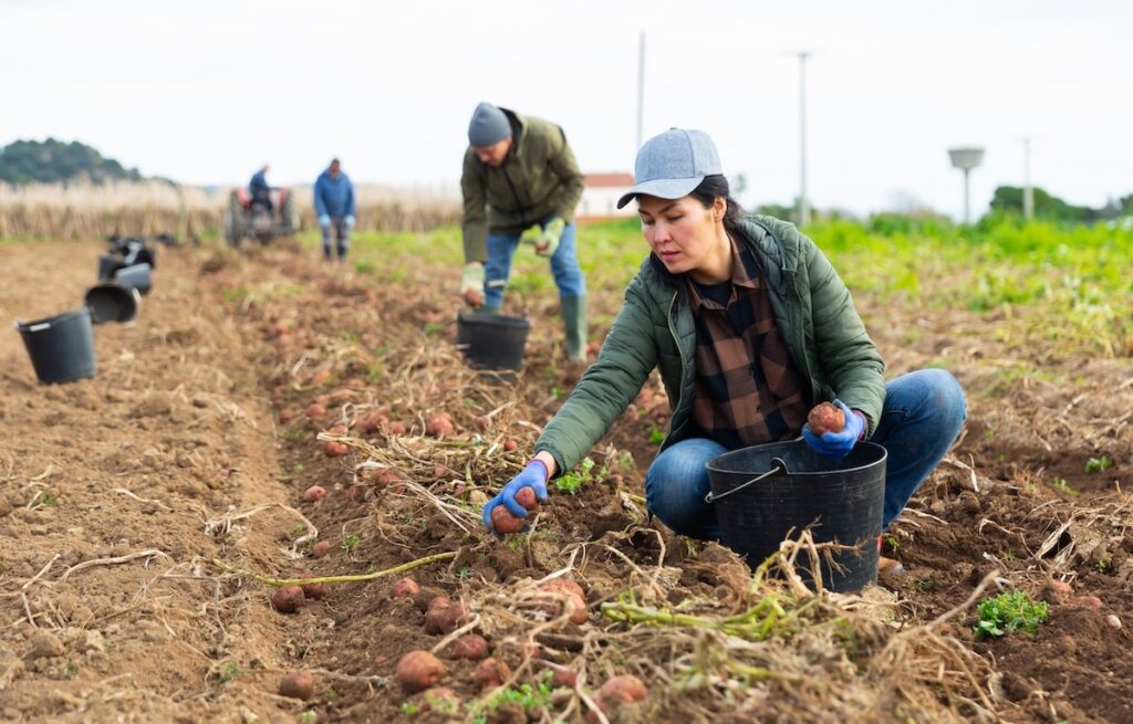 Industry greets labor developments with cautious optimism