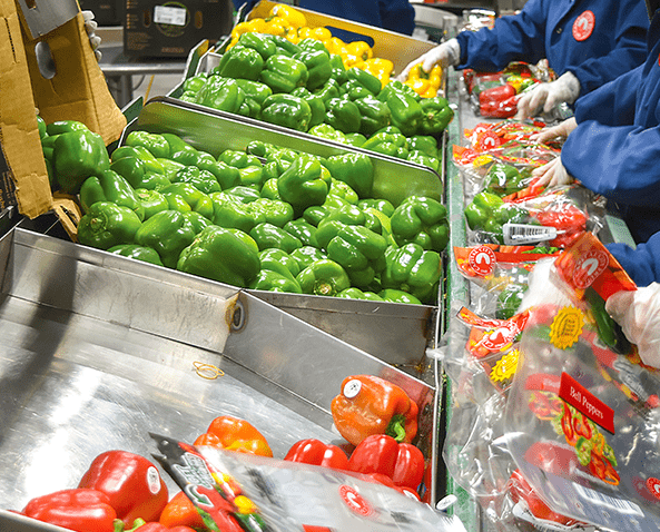 FSMA 204 traceability clock still ticking