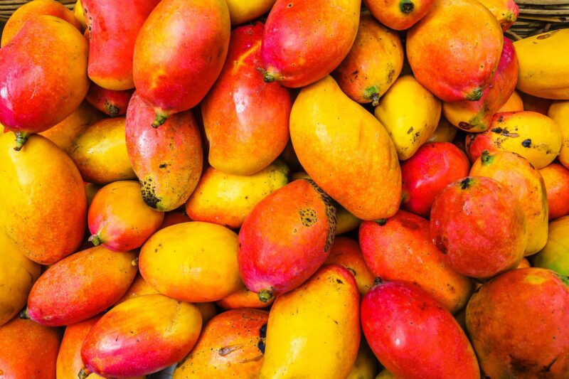 Close up of red and yellow mangoes
