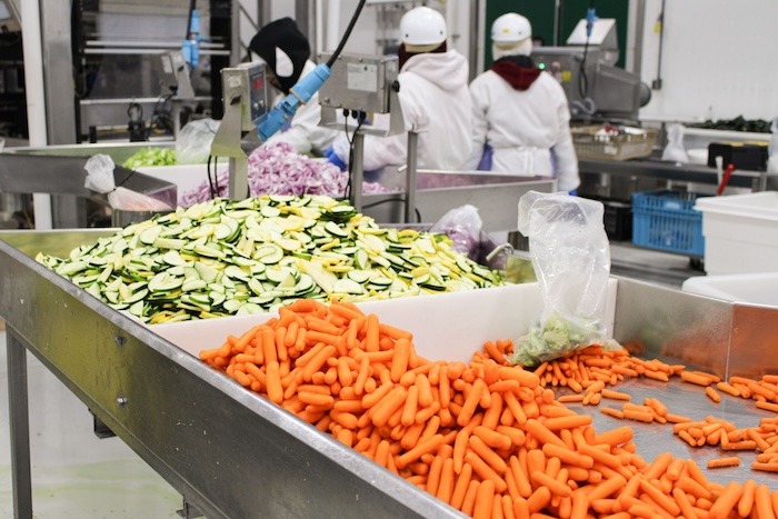 FDA releases risk prevention guidelines for fresh-cut produce processors
