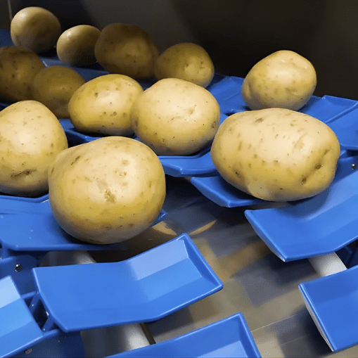 Single vs. dual wicketed baggers: choosing the right configuration