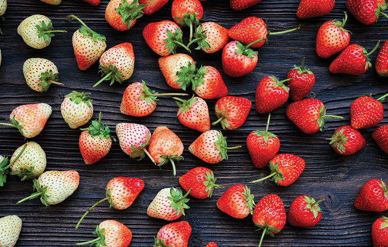 A close-up of strawberries in varying degrees of ripeness