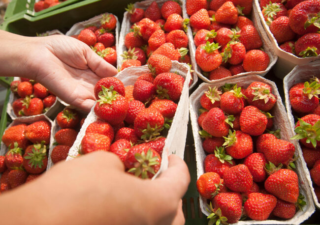 A pair of hands picks up fresh strawberries in small cardboard packages